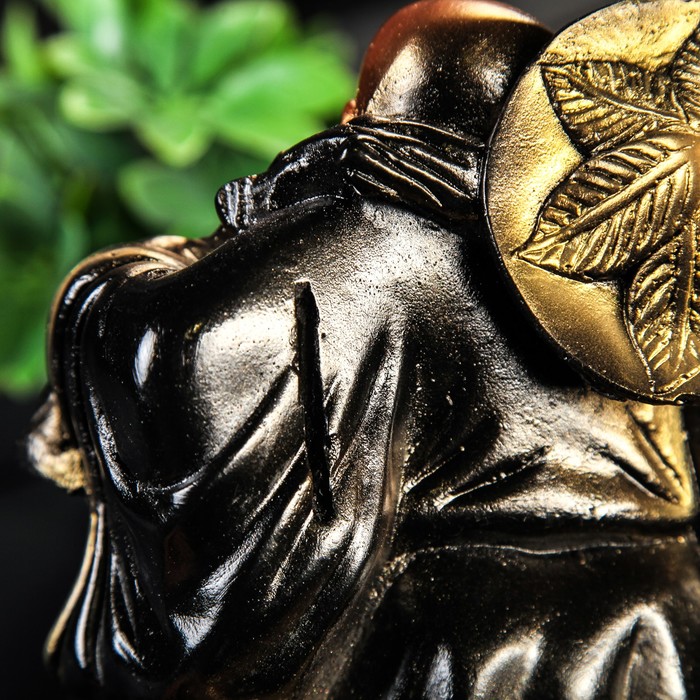 Копилка "Хотэй на жабе"