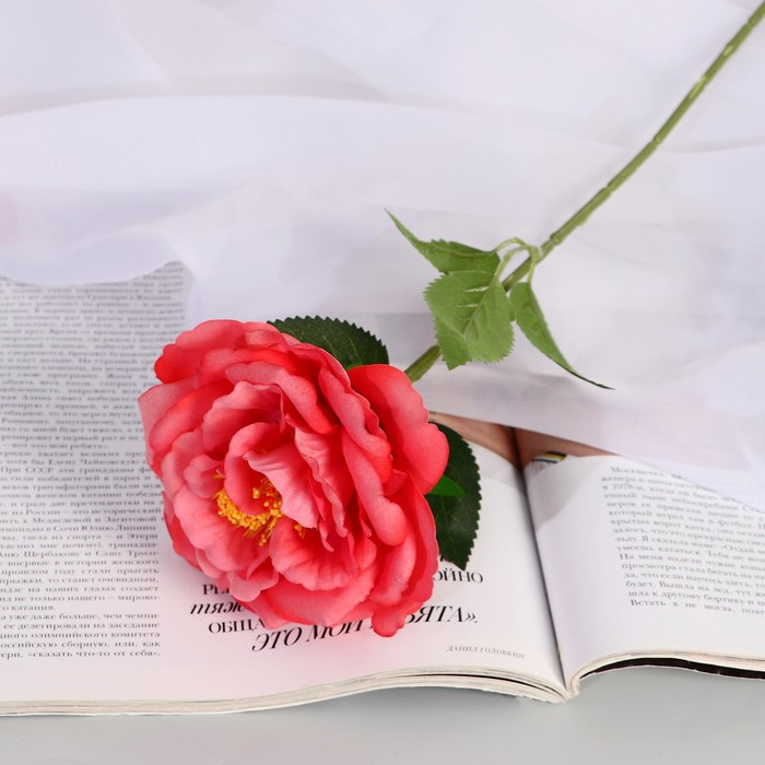 Цветы искусственные Роза Претти d-10 см 55 см, персиковый