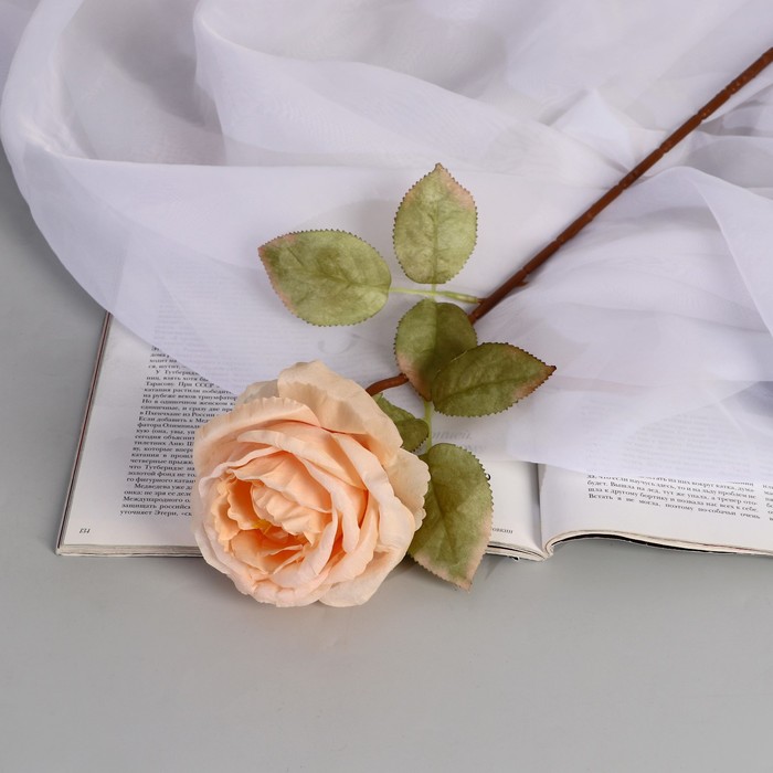 Цветы искусственные Роза шёлк d-10 см 45 см, кремовый