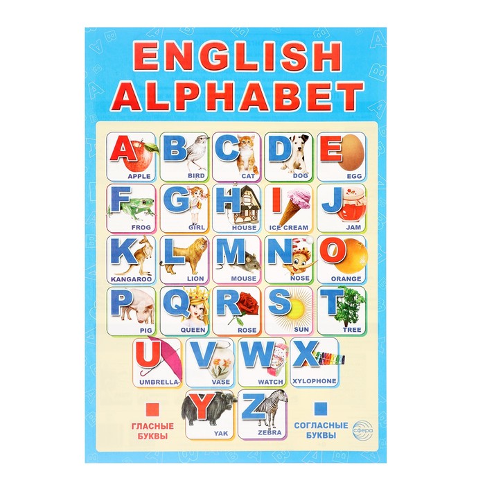 Плакат Английский алфавит в упаковке с европодвесом А3