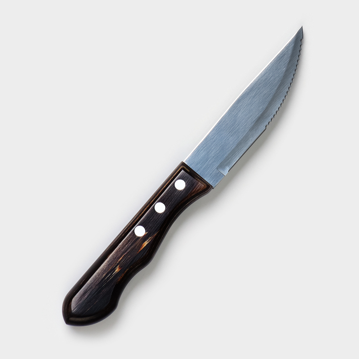 Нож кухонный для мяса TRAMONTINA Polywood Jumbo, лезвие 12,5 см