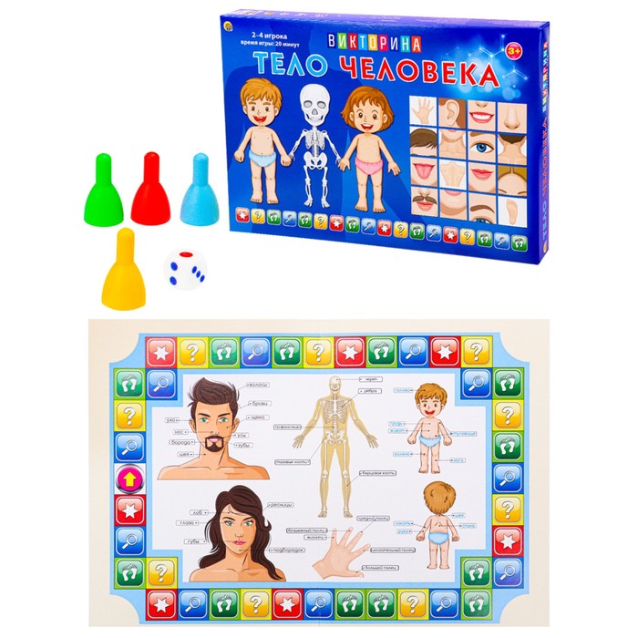 Игра — викторина для малышей «Тело человека», 2-4 игроков, 3+