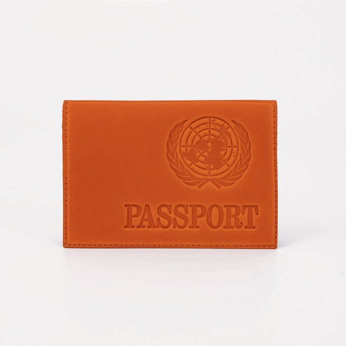Обложка для паспорта, тиснение, латинские буквы, цвет рыжий пк кидс тойз дв обложка для паспорта цвет рыжий