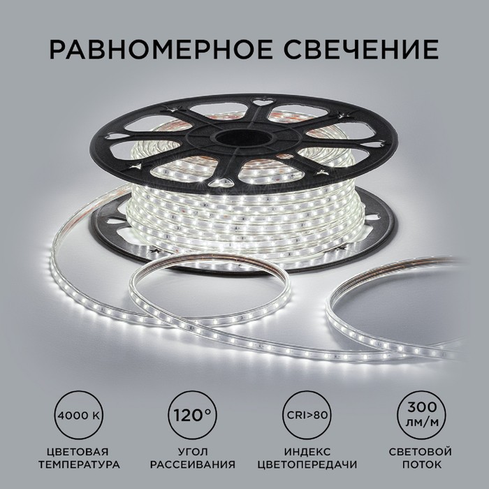 Светодиодная лента Apeyron 220В, SMD2835, 10x7 мм, 50 м, IP65, 5Вт/м, 60 LED/м, 4000К