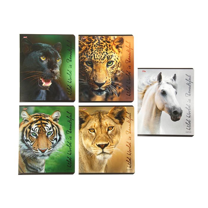 Тетрадь 48 листов клетка "Взгляд животных", обложка картон хромэрзац, 4 вида МИКС