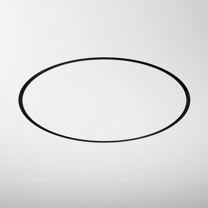 

Встраиваемый радиусный шинопровод d=1200 мм Elektrostandard, Slim Magnetic, 480Вт, цвет чёрный