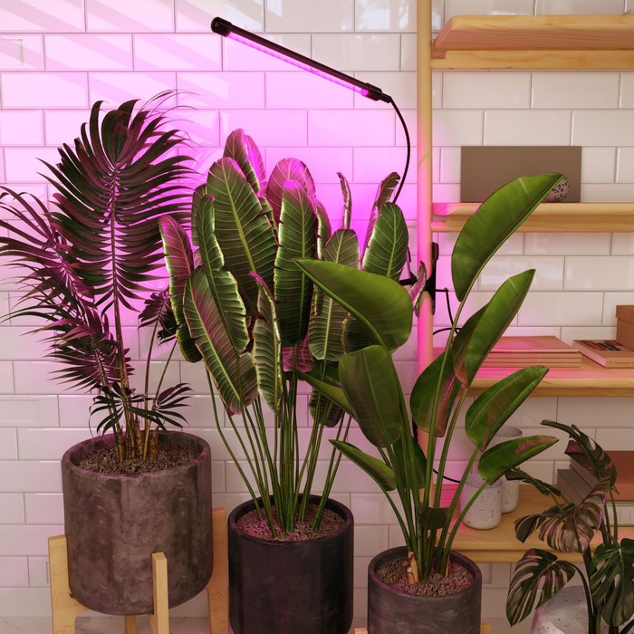 Светодиодный светильник для растений на прищепке Elektrostandard, Fito, 700х18х18 мм, 8Вт, LED, цвет чёрный светильник navigator led для растений 8вт