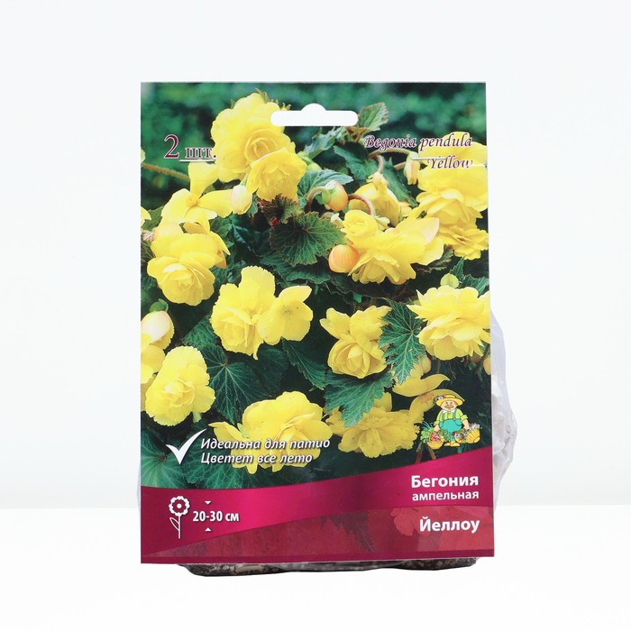 

Бегония ампельная Йеллоу, р-р 4/5, 2 шт, Весна 2024