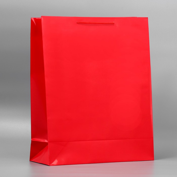 Пакет подарочный ламинированный, упаковка, «Красный», 40 х 49 х 15 см пакет подарочный на снежочке хl 50 х 40 х 15 см