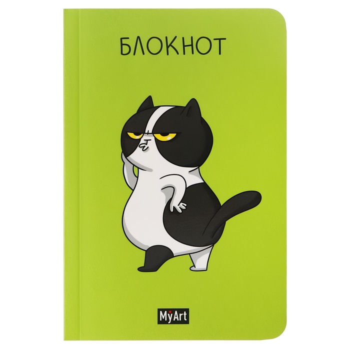 

Блокнот А6 40 листов в клетку Кот-модель, обл карт, выб лак, бл 80 г/м2