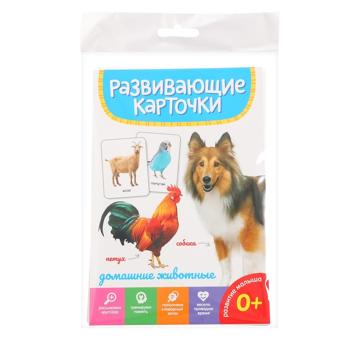 Развивающие карточки «Домашние животные» смирнова с илл домашние животные развивающие карточки