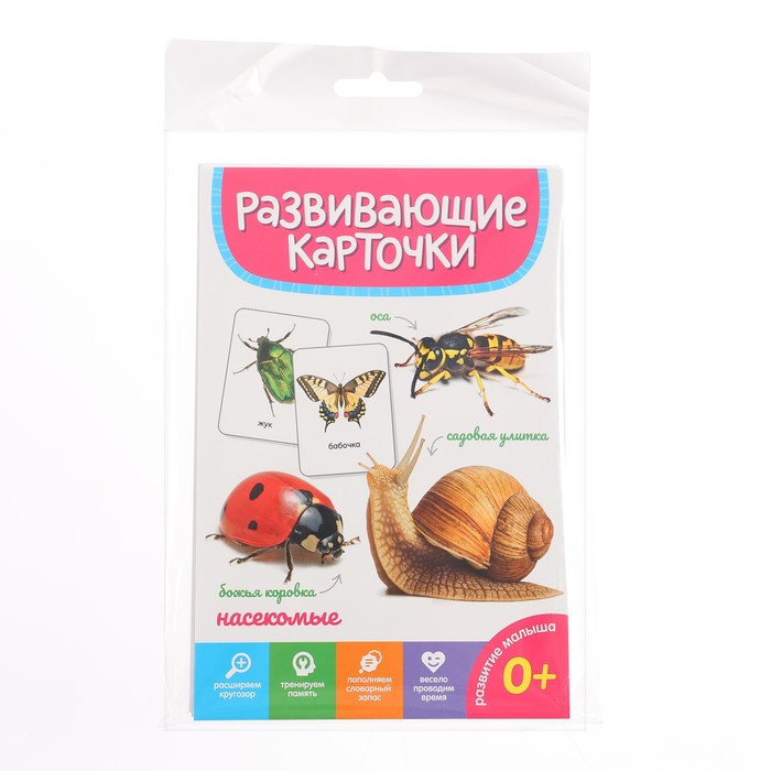 

Развивающие карточки «Насекомые»