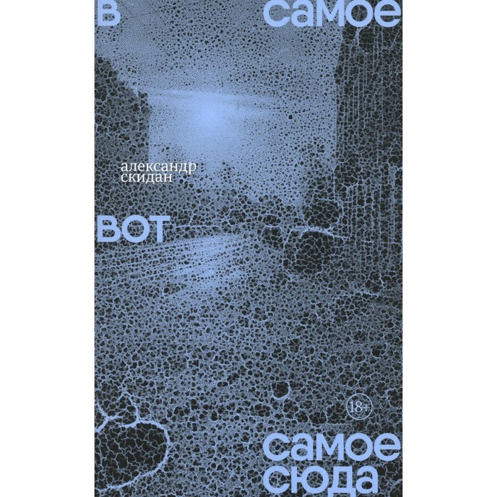 

В самое вот самое сюда. Стихи 2020–2023. Скидан А.