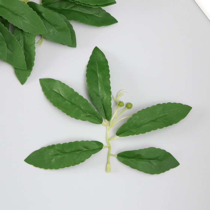 Искусственное растение для творчества Листья черёмухи набор 6 шт 13,5х16 см