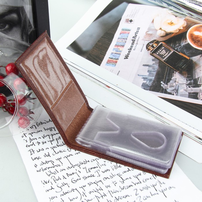 Визитница, 1 ряд, 16 карманов, игуана, цвет тёмно-коричневый