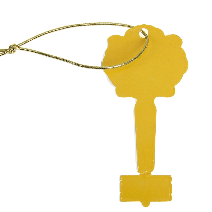 Ключ "От дома, где деньги лежат"