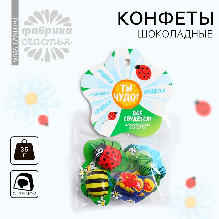 

Конфеты шоколадные «Ты чудо» с формовым европодвесом, 35 г.