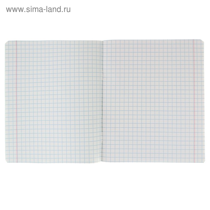 Тетрадь 12 листов крупная клетка 