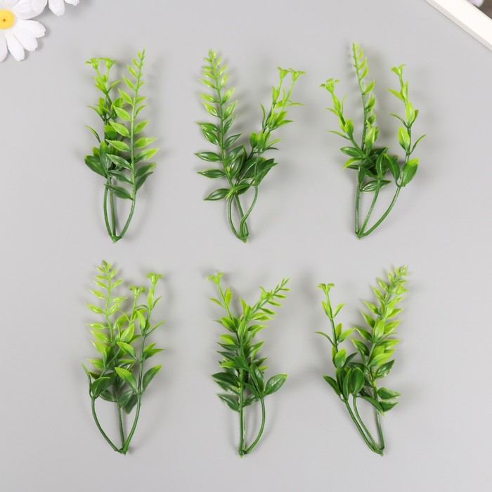 Искусственное растение для творчества Иглица с цветками набор 6 шт зелёный 12,5 см