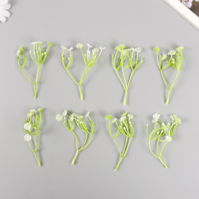 Искусственное растение для творчества Цикорий набор 8 шт белый 10 см искусственное растение для творчества цикорий набор 8 шт фуксия 10 см