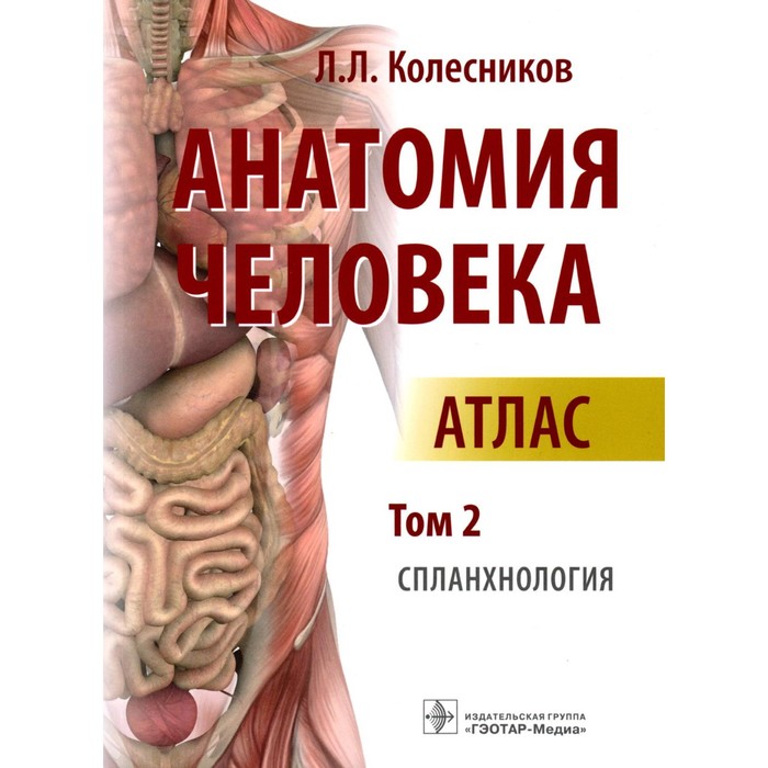 Анатомия человека. Атлас: В 3-х томах. Том 2. Спланхнология. Колесников Л.Л.