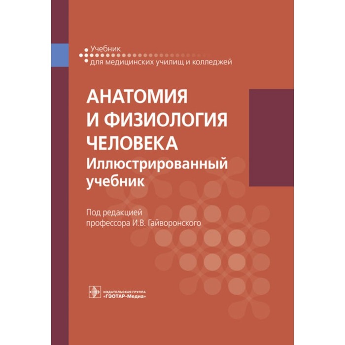 гайворонский и ничипорук г гайворонский а анатомия и физиология человека учебник Анатомия и физиология человека. Иллюстрированный учебник. Гайворонский А.И., Гайворонский И.В., Николенко В.Н.