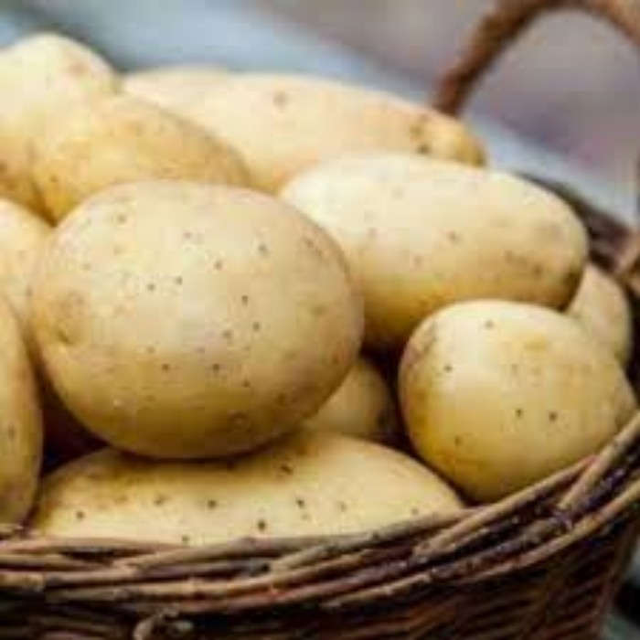 Семенной Картофель Арроу, суперэлита 2,5 кг картофель семенной маяк 2 кг