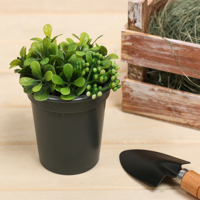 Горшок для рассады, 300 мл, МИКС