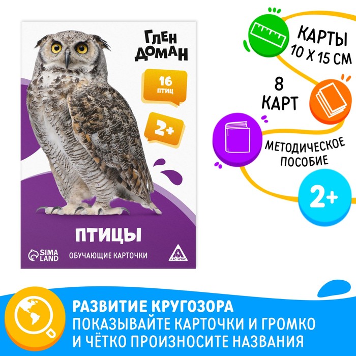 

Обучающие карточки по методике Глена Домана «Птицы», 8 карт, 2+