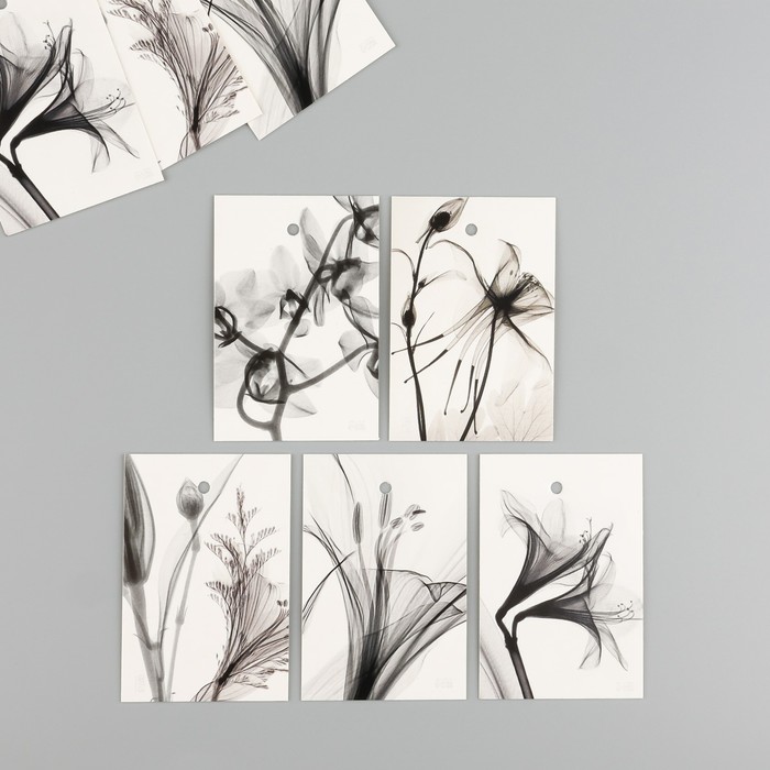 Бирка картон Черная акварель набор 10 шт (5 видов) 4х6 см цена и фото
