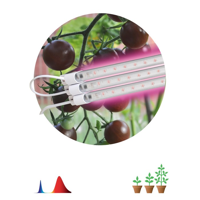 Модульный светильник для растений ЭРА FITO-3х10W-LINE-RB90 красно-синего спектра 30 Вт фитосветильник светодиодный для растений эра fito 20w на прищепке 20 вт красно синего спектра