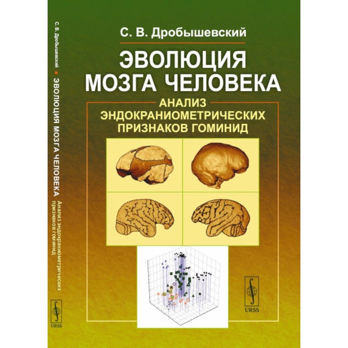 

Эволюция мозга человека. Анализ эндокраниометрических признаков гоминид. Дробышевский С.В.
