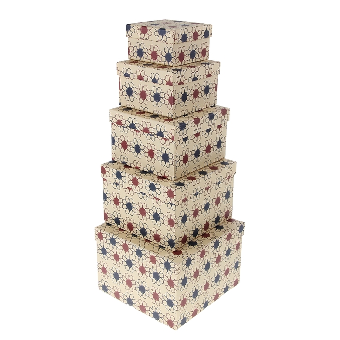 Набор коробок 5в1 "Ромашки", 19,5 х 19,5 х 11,5 - 11 х 11 х 6 см