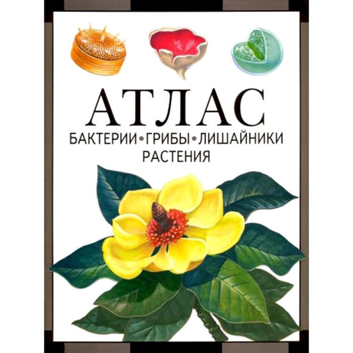 Бактерии, грибы, лишайники, растения. Атлас. 4-е издание. Черепанов И.В. бодрова наталия федоровна биология растения бактерии грибы лишайники 5 6 классы рабочая тетрадь 2 фгос