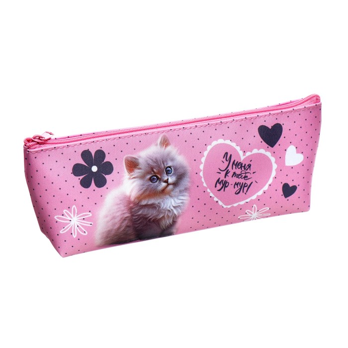 Пенал мягкий 1 отделение 80 х 190225 х 40 мм объёмный ПМО 32-20 Мур-мур 130₽