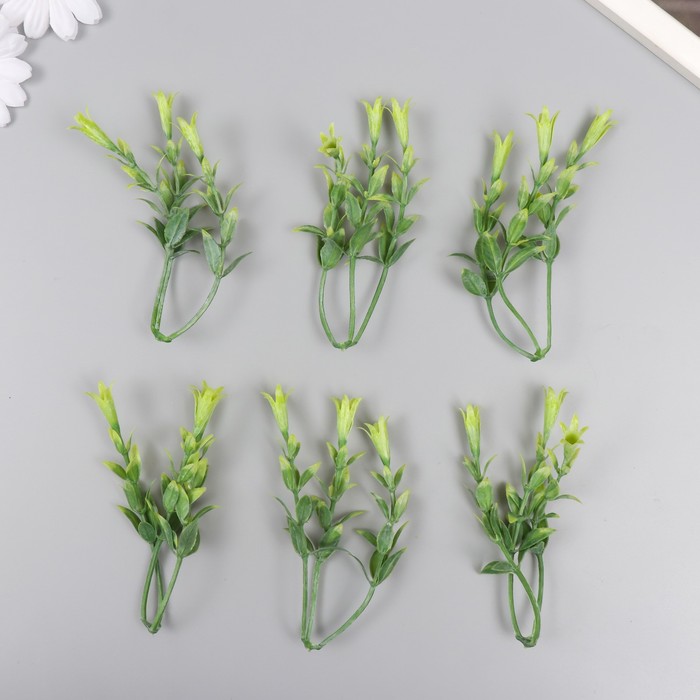 Искусственное растение для творчества Гиппеастриум набор 6 шт светло-зелёный 11 см