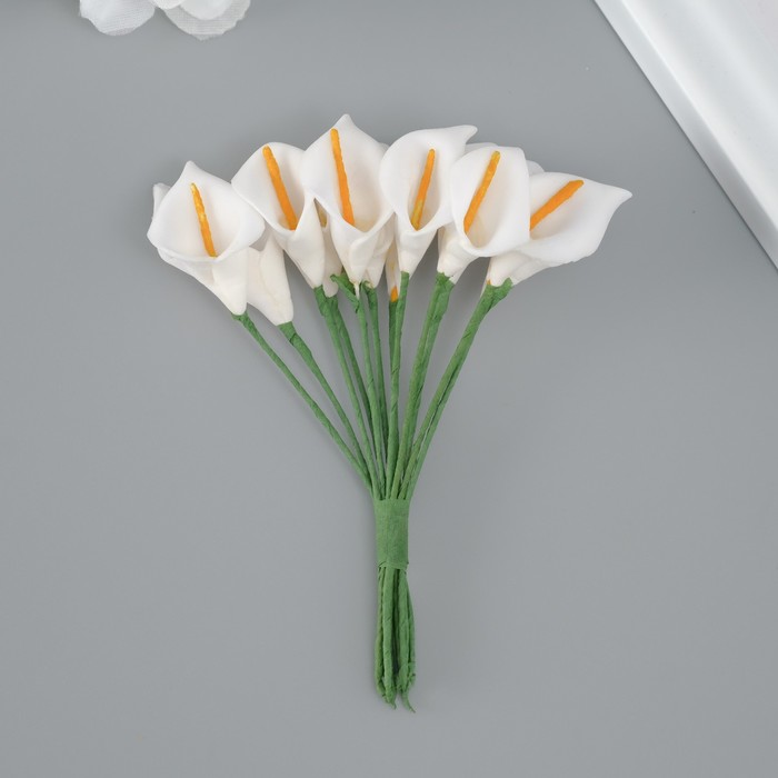 Декоративный цветок для творчества Калла белый декоративный цветок для творчества калла красный 144 шт
