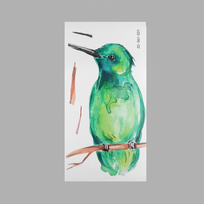 Наклейка пластик интерьерная цветная Тропическая птичка 30х60 см наклейка пластик интерьерная цветная английский алфавит в картинках 30х60 см