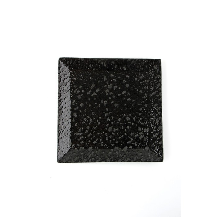 Тарелка квадратная Porland Black Moss, размер 18х18 см