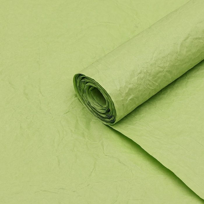 Бумага упаковочная Эколюкс, МИКС салатовый, 0,67 x 5 м бумага упаковочная эколюкс двухцветная морская волна зеленый 0 67 x 5 м