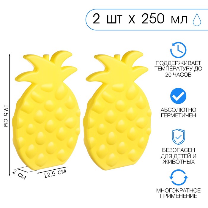 

Аккумулятор холода "Мастер К. Ананас", 250 мл, 19,5 х 12,5 см, желтый, набор 2 шт