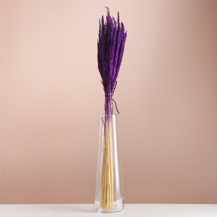 Набор сухоцветов Вейник, банч длина 65 (+/- 6 см), фиолетовый
