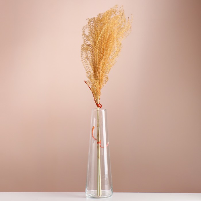Набор сухоцветов Мискантус, банч 3-5 шт, длина 60 (+/- 6 см), оранжевый мискантус мейдл