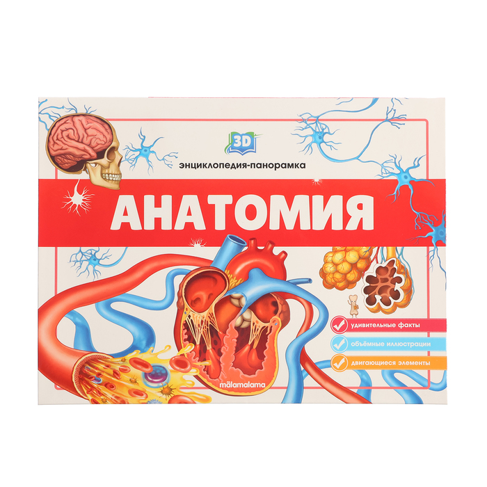 3D энциклопедия-панорамка «Анатомия» 3d total анатомия для 3d художников