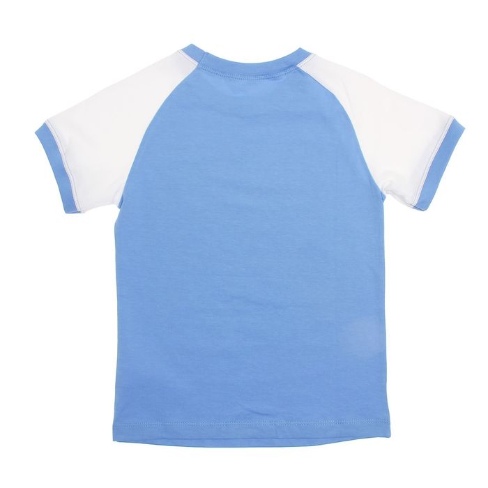 Футболка для мальчика, рост 104 см, цвет голубой/белый, принт МИКС Н006