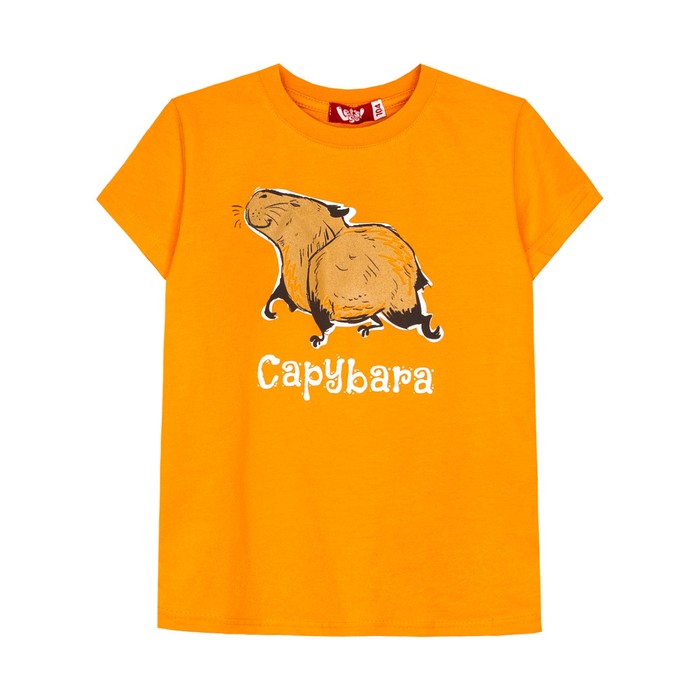 

Футболка детская, рост 122 см, цвет оранжевый