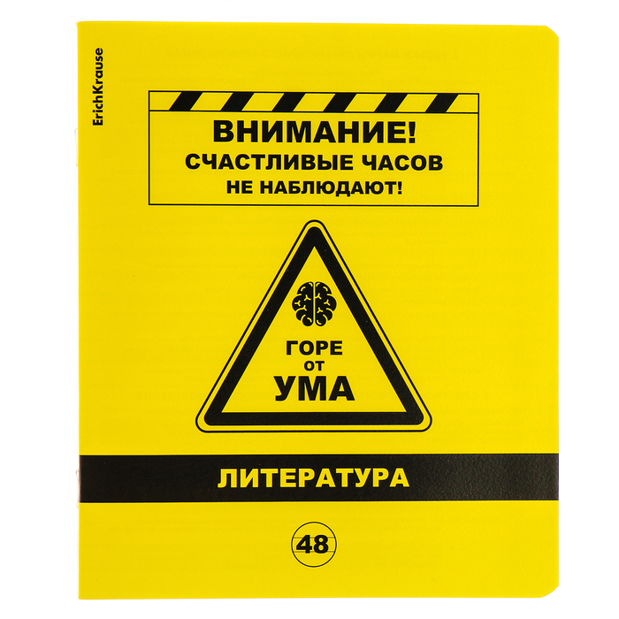 

Тетрадь предметная, 48 листов, линейка, ЛИТЕРАТУРА, ErichKrause "Be Informed", пластиковая обложка шелкография, блок офсет белизна 100%, инфо-блок