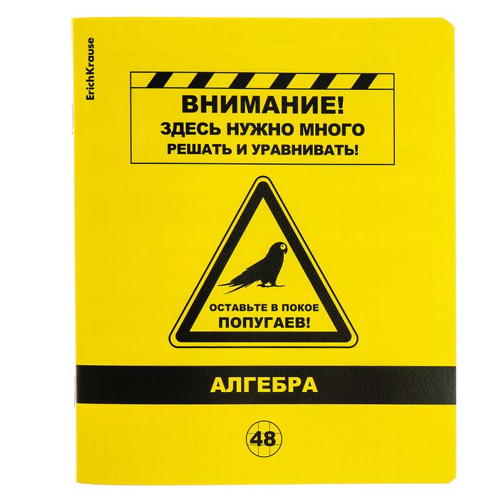 Тетрадь предметная 48 листов клетка АЛГЕБРА ErichKrause Be Informed пластиковая обложка шелкография блок офсет белизна 100 инфо-блок 59₽