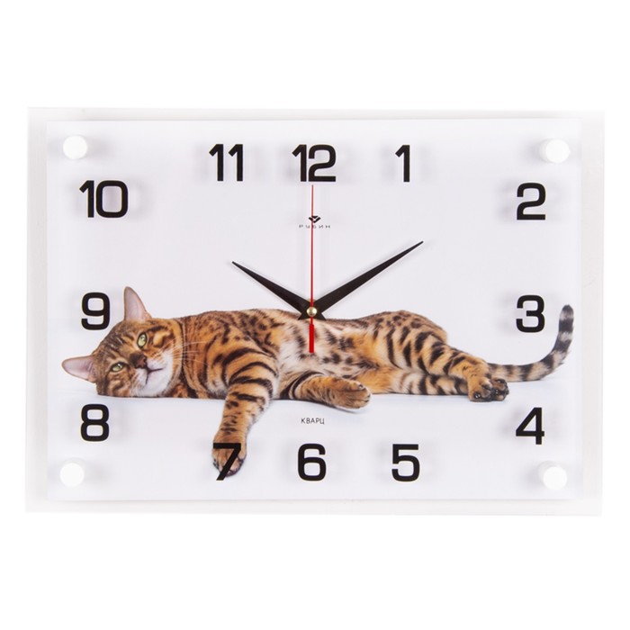 часы настенные интерьерные утро в сосновом бору бесшумные 25 х 35 см Часы настенные интерьерные Бенгальский кот, бесшумные, 35 х 25 см, АА