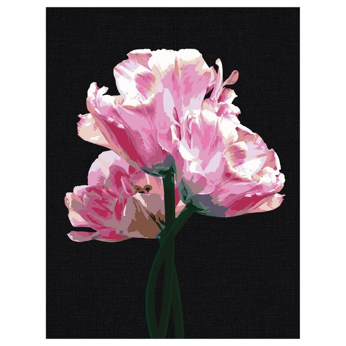 Картина по номерам на черном холсте «Розовые цветы», 30 × 40 см силиконовый чехол цветы розовые на honor 30